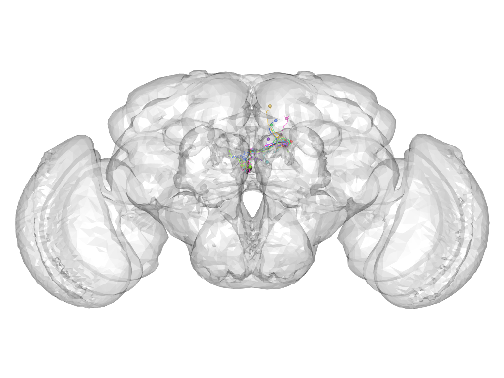 Click for 3D rendering of cluster