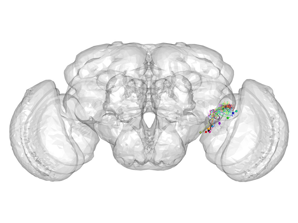 Click for 3D rendering of cluster