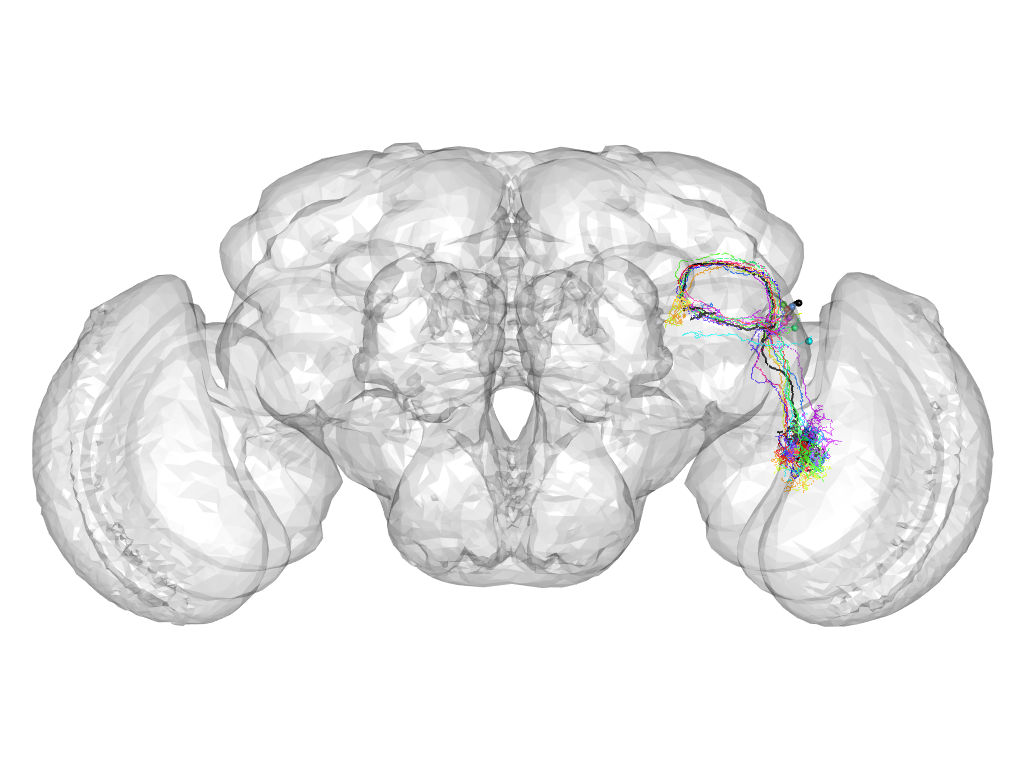 Click for 3D rendering of cluster