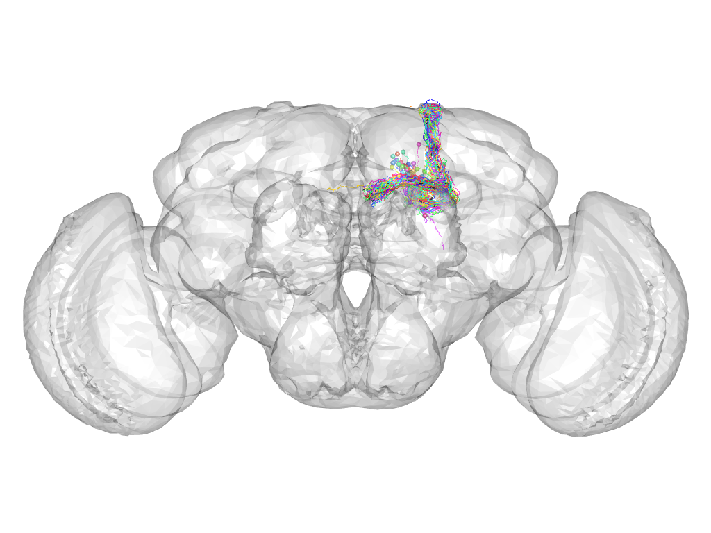 Click for 3D rendering of cluster