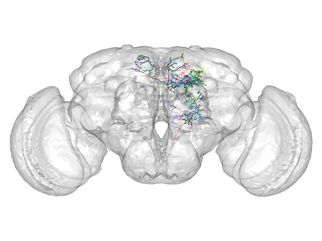 Click for 3D rendering of cluster