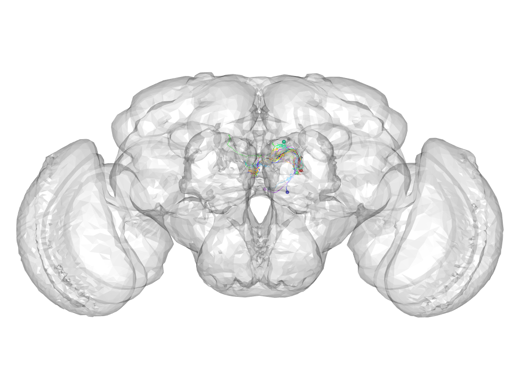 Click for 3D rendering of cluster