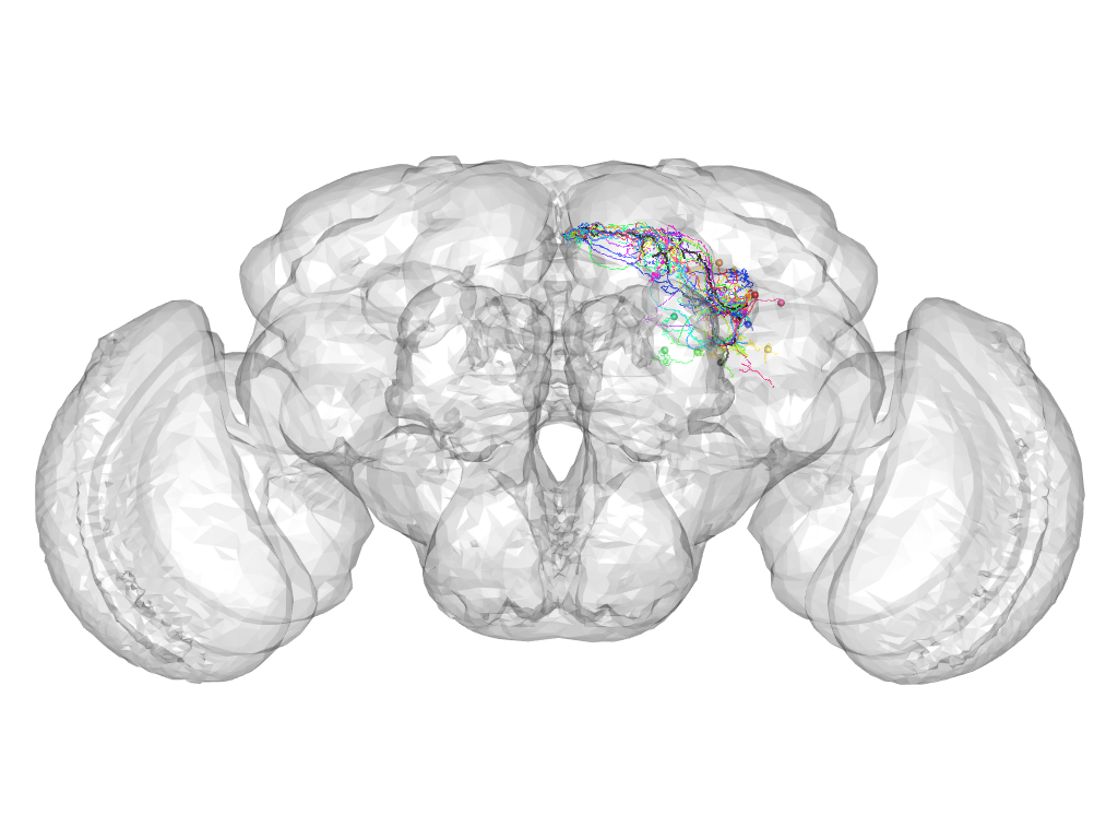 Click for 3D rendering of cluster