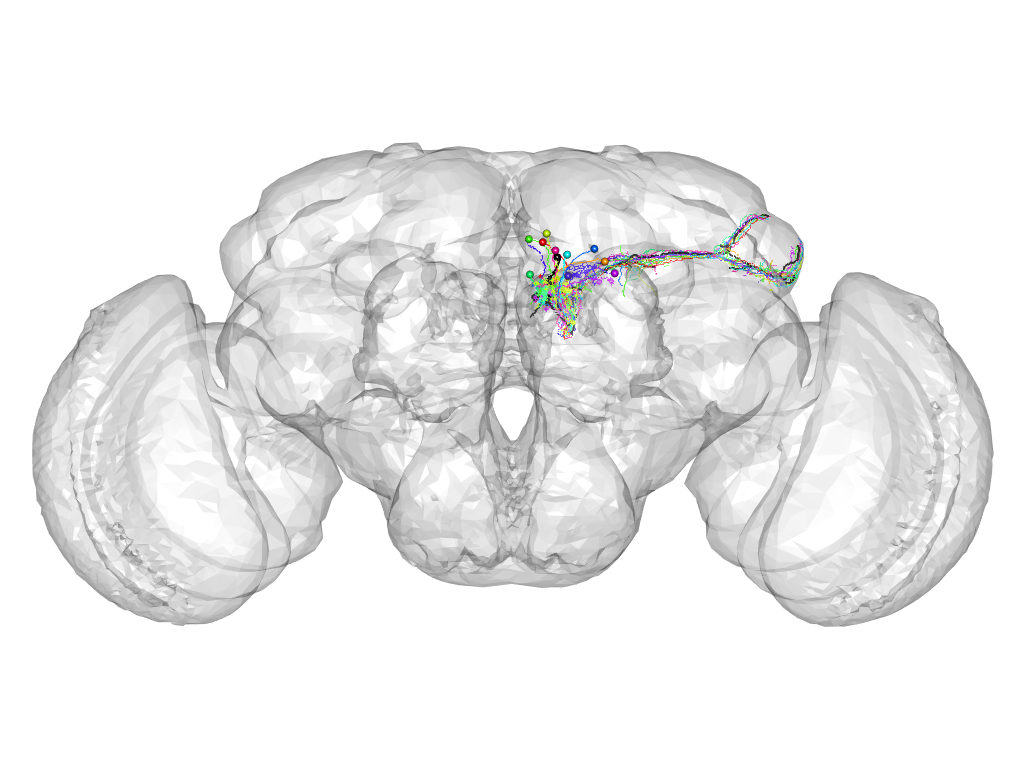 Click for 3D rendering of cluster