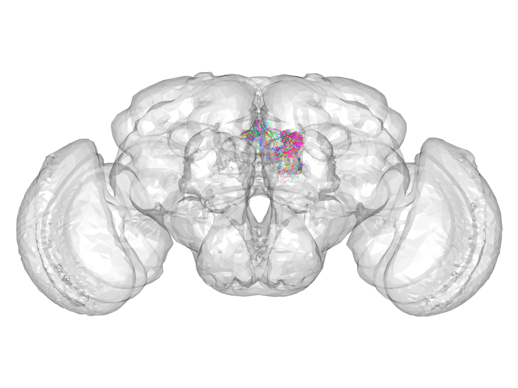 Click for 3D rendering of cluster