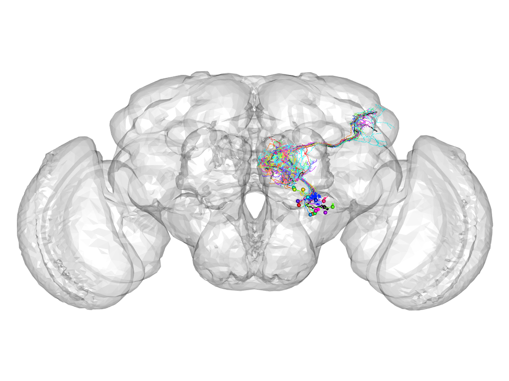 Click for 3D rendering of cluster