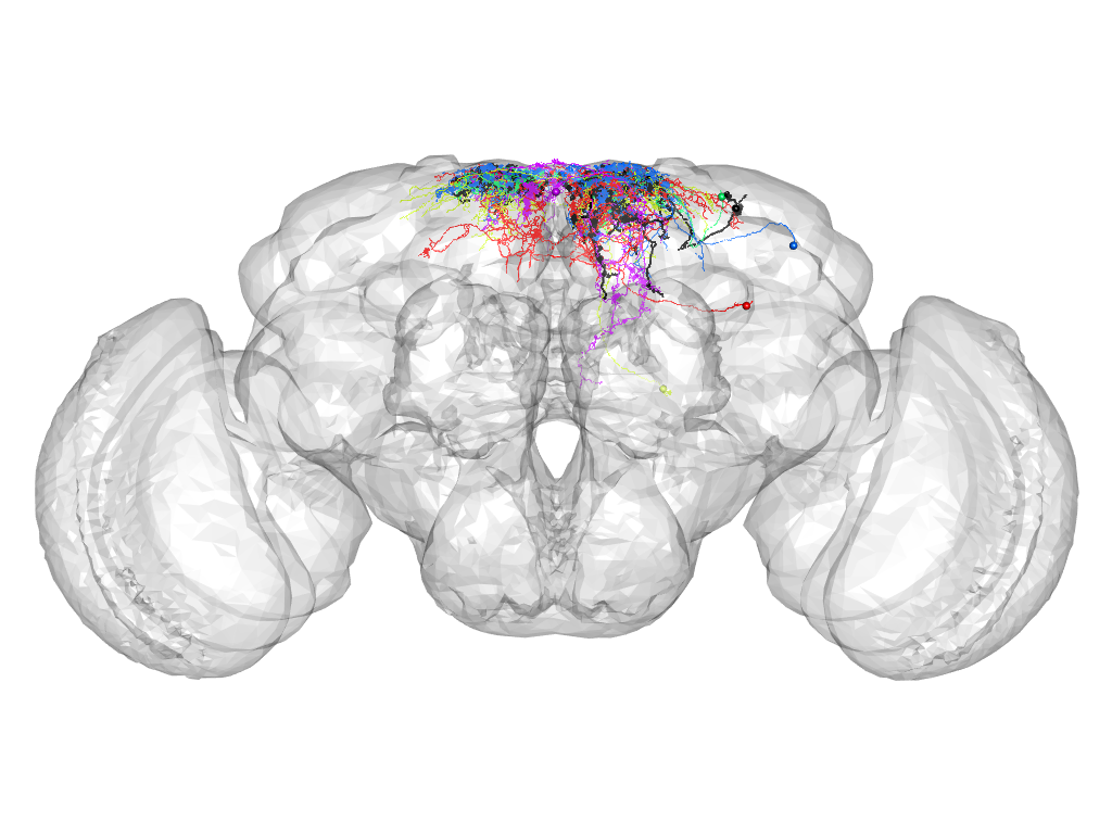 Click for 3D rendering of cluster