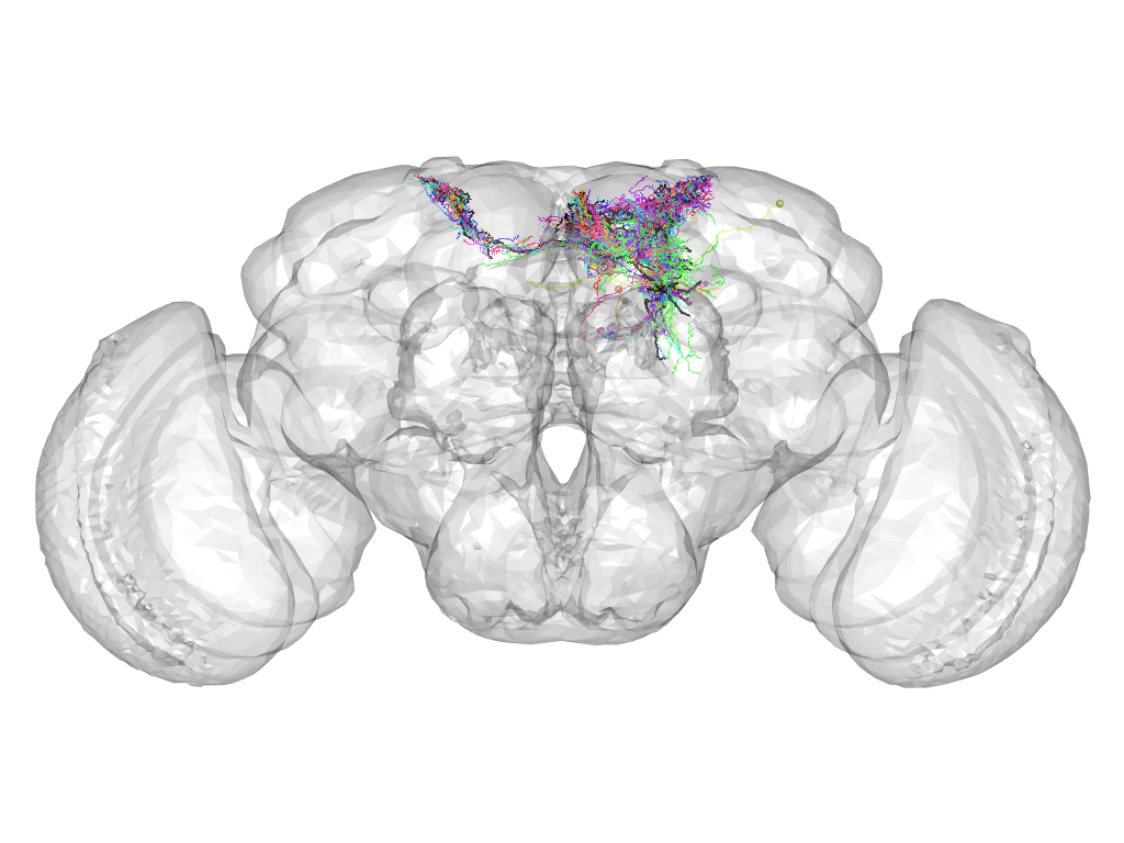 Click for 3D rendering of cluster