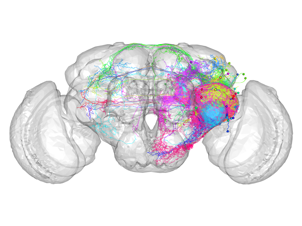 Click for 3D rendering of supercluster