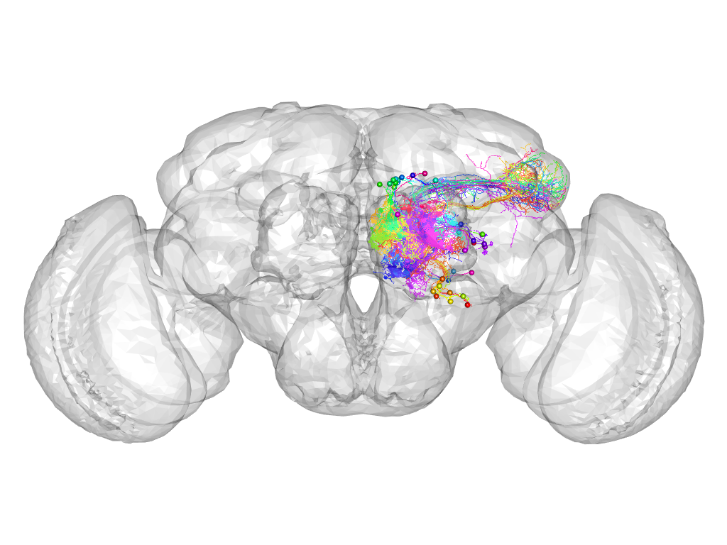 Click for 3D rendering of supercluster