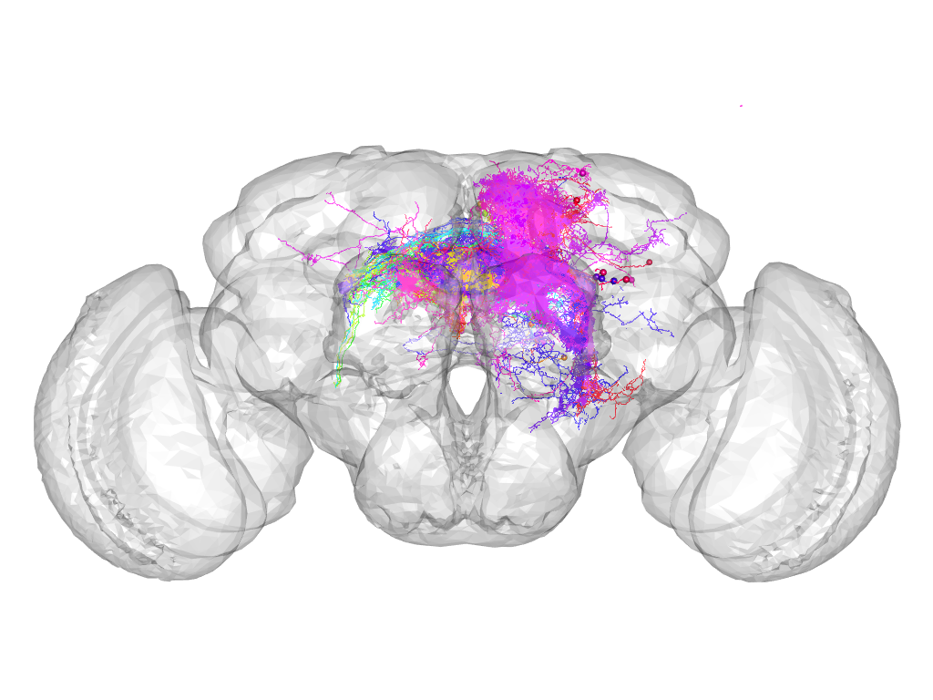 Click for 3D rendering of supercluster