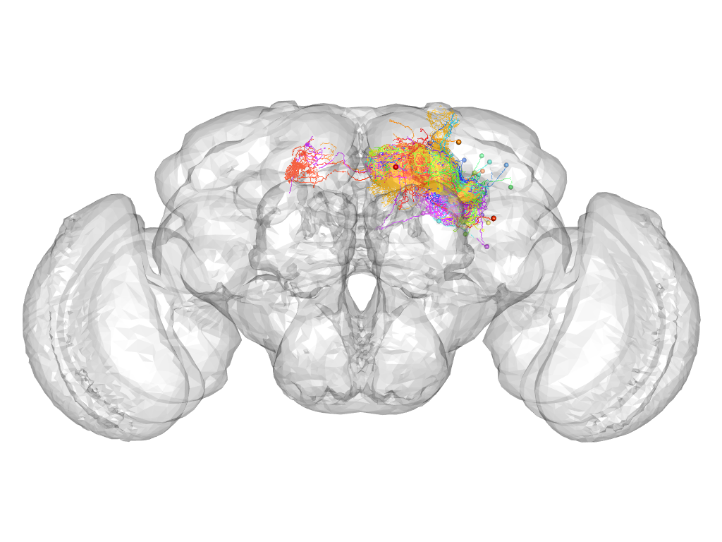 Click for 3D rendering of supercluster