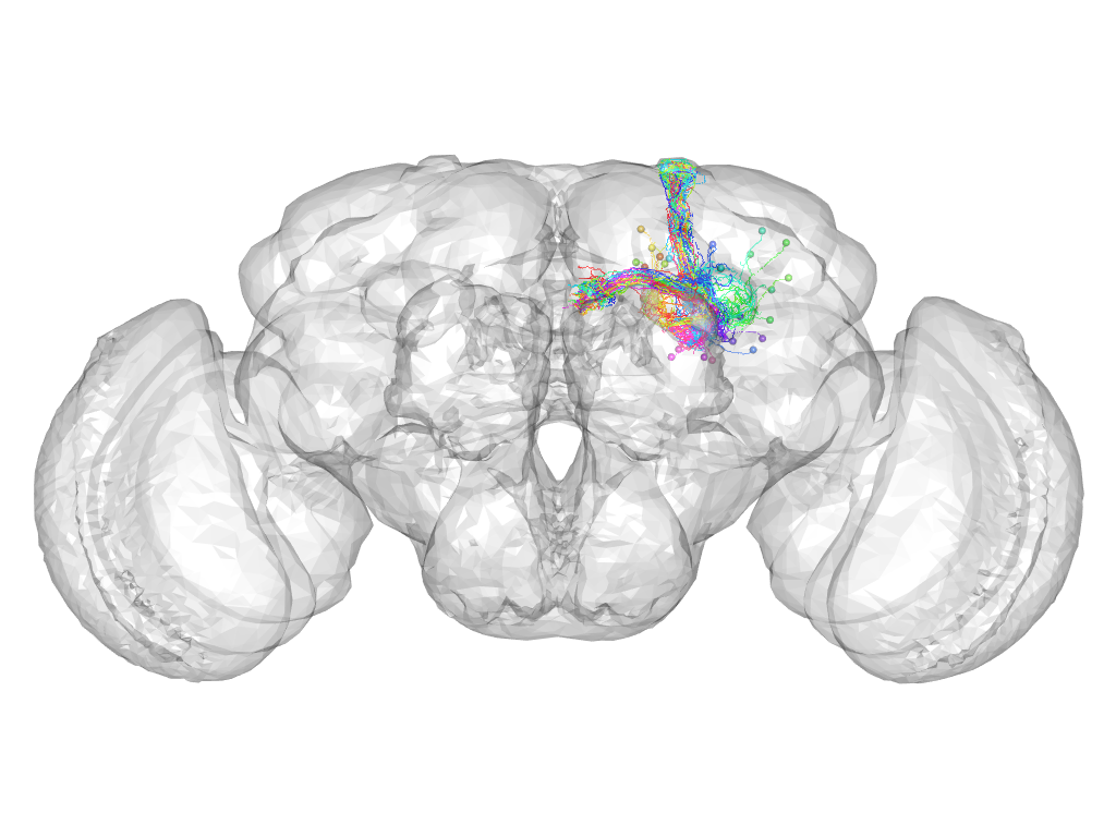 Click for 3D rendering of supercluster