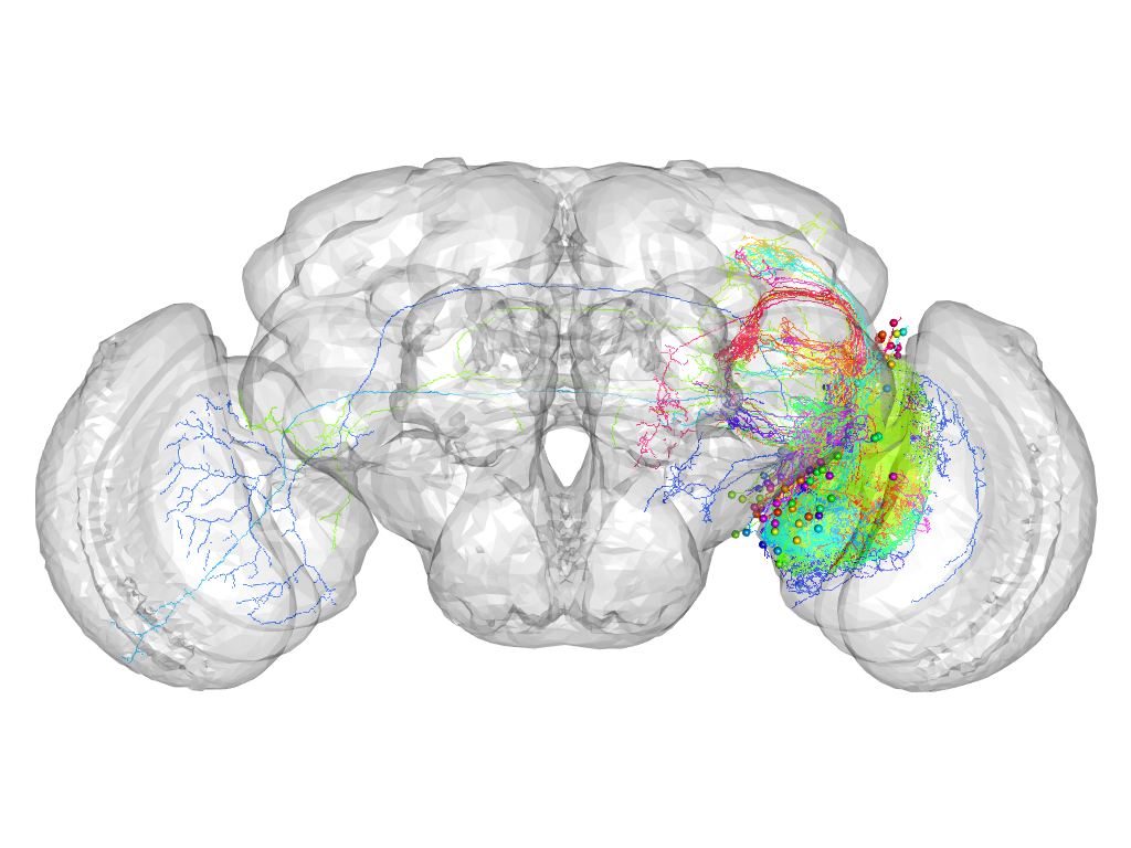 Click for 3D rendering of supercluster