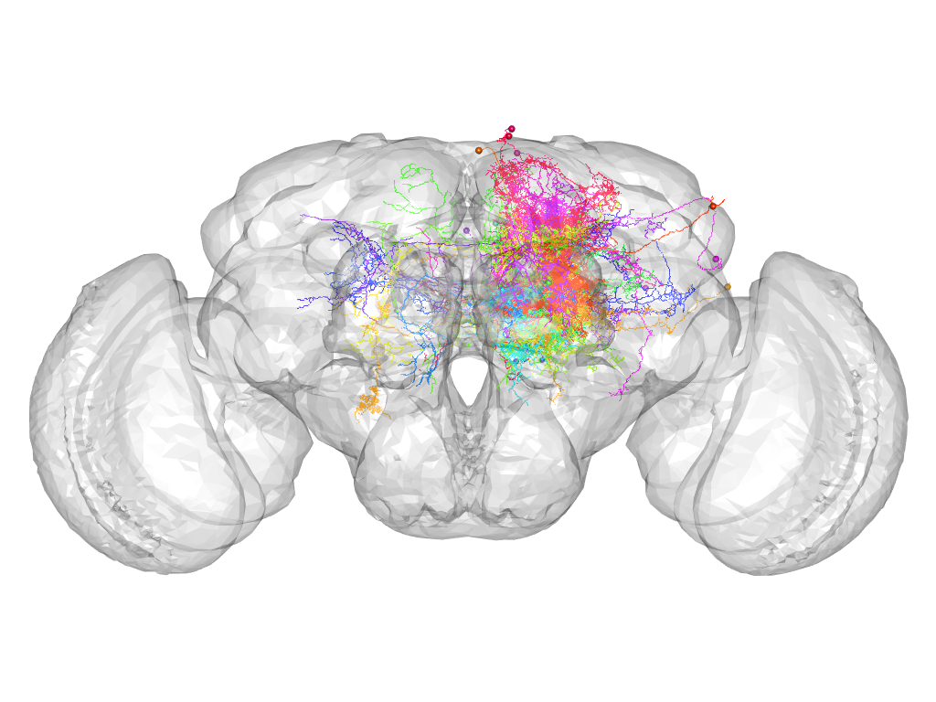 Click for 3D rendering of supercluster
