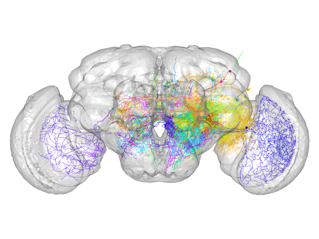 Click for 3D rendering of supercluster