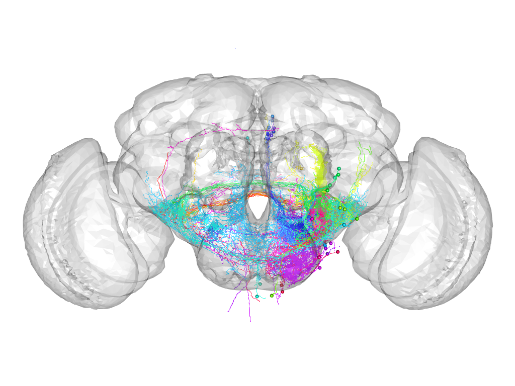 Click for 3D rendering of supercluster