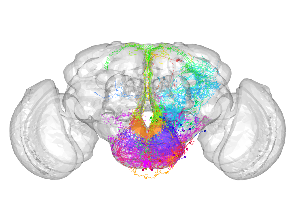 Click for 3D rendering of supercluster
